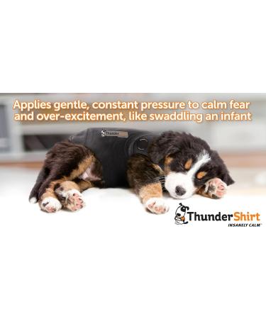 Shop ThunderShirt Red Polo Shirt - Medium Camo for XX Large Dogs (Over 110 lbs) - International Shipping Available - Buy Online on GoSupps.com