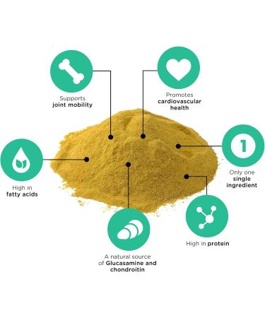 Only One Treats Green Lipped Mussel Powder Hip and Joint Supplement for Dogs and Cats Natural Pet Treats with Glucosamine to Improve Pet Mobility Cardiovascular and Immune Health (60g) 60 G - Buy Online on GoSupps.com