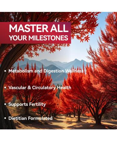 MEGNETA Premium Berberine HCl Complex with Cinnamon & Turmeric Heart Health Help Sugar Metabolism Balanced 60 Capsules 30-Day Supply - Buy Online on GoSupps.com