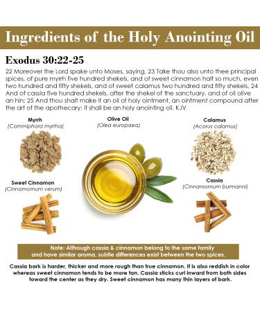 Exodus 30:22-25 Sacred Anointing Oil - Authentic Myrrh Calamus Cinnamon & Olive Oil for Healing Prayers - 1 fl oz | International Shipping Available - Buy Online on GoSupps.com