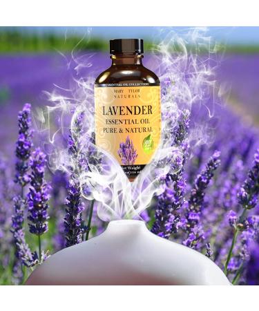 Buy Lavender Essential Oil 4 oz - 100% Pure & Therapeutic Grade by Mary Tylor Naturals for Aromatherapy - Buy Online on GoSupps.com
