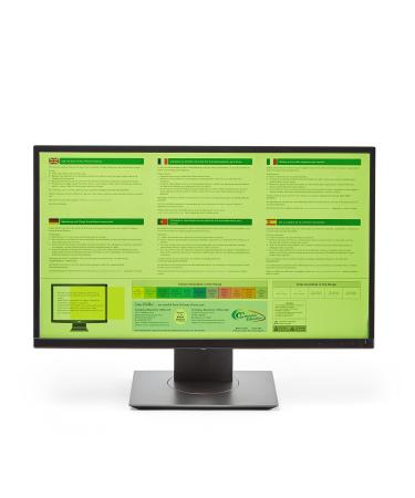 Crossbow Education 24-Inch Widescreen Monitor Overlay - Dyslexia and Visual Stress Friendly (Celery)