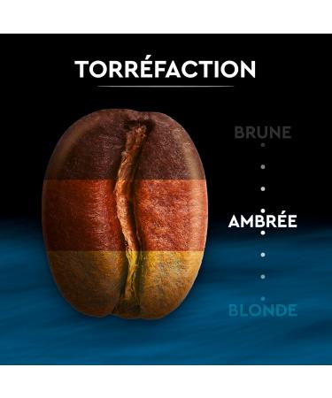  Carte Noire CARTE NOIRE - Carte Noire Decaffeinated Ground Coffee - Arabica Ground Coffee - Unique & Deep Flavour - Pack of 250g - Made in France - Buy Online on GoSupps.com