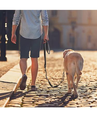 Hands Free Running Dog Lead - Retractable 7FT Long Training Leash for Medium Large Dogs - Reflective Nylon Tape - Ideal for Walking, Hiking, Jogging - Car Seat Belt Leash - Black - Buy Online on GoSupps.com