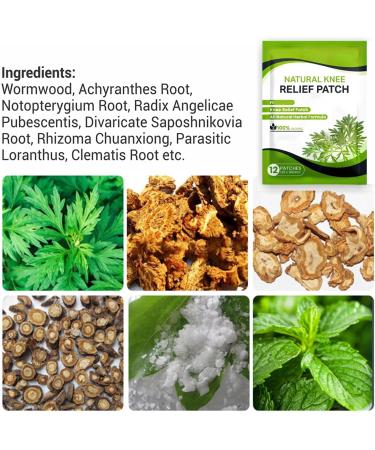 Natural Pain Relief Patches for Knee Neck Back & Shoulders | Wormwood Patch for Fast Relief - Buy Online on GoSupps.com