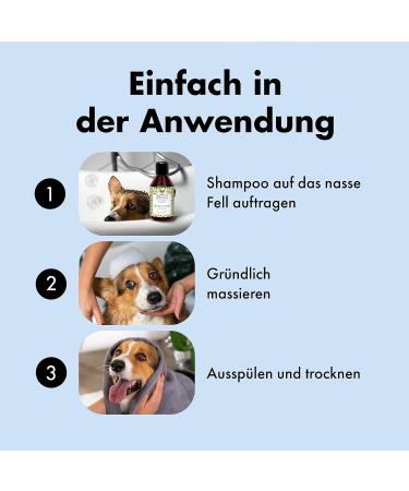 Buy Belly Nourishing Dog Shampoo - Perfect Puppy Shampoo with Keratin & Green Tea | 250ml for Long-Haired Dogs - Fresh Scent & Nourishing Care - Buy Online on GoSupps.com