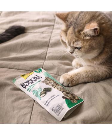 Gimcat Nutri Pockets Catmint - Crispy Cat Snack with Creamy Filling & Functional Ingredients - 60g Bag for Cats - Buy Online on GoSupps.com