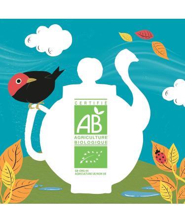 CLIPPER - Organic Infusion - Spices and Love - Cinnamon Ginger & Orange - 20 Organic Infusion Sachets - 1 pack - Buy Online on GoSupps.com