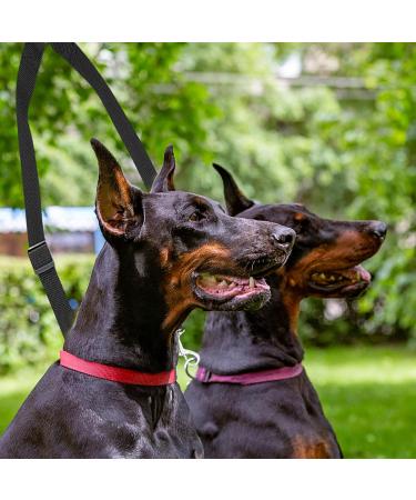 Premium Dog Leash Splitter - Dual Line Leash for 2 Dogs Adjustable Size Perfect for Hiking Jogging & Training - Black - Buy Online on GoSupps.com