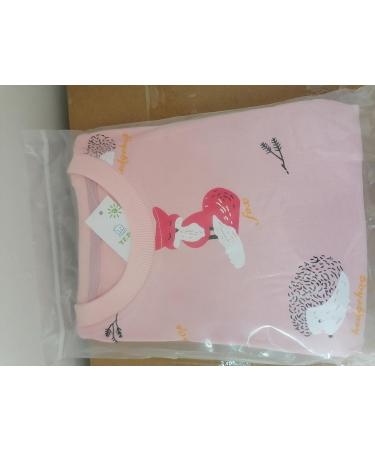 Girls Cotton Sweatshirt | Long Sleeve Casual Jumper for Toddlers | 5-6 Years | Pink - Buy Online on GoSupps.com