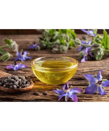 OPO Borage Seed Oil 32 oz - 100% Pure Non-GMO High GLA Moisturizer | Vegan Carrier Oil for Skin Hair Nails & DIY Soaps - Buy Online on GoSupps.com