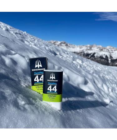 Watermans FacePro SPF 44 Sunscreen Stick - Zinc Oxide Reef Safe Broad Spectrum Mineral Sunscreen for Face - Buy Online on GoSupps.com