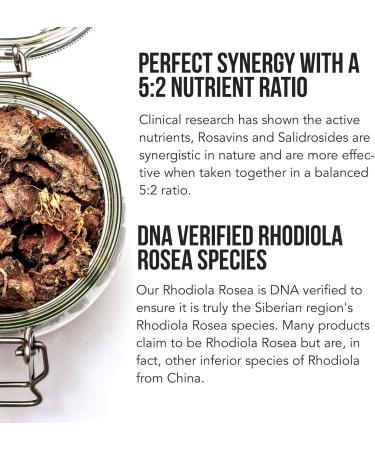 Max Strength Siberian Rhodiola | 5% Rosavins & 2% Salidroside | BioPerine Enhanced | DNA Verified | Stress Reduction, Energy Boost & Cognitive Enhancement | 60 Count - Buy Online on GoSupps.com