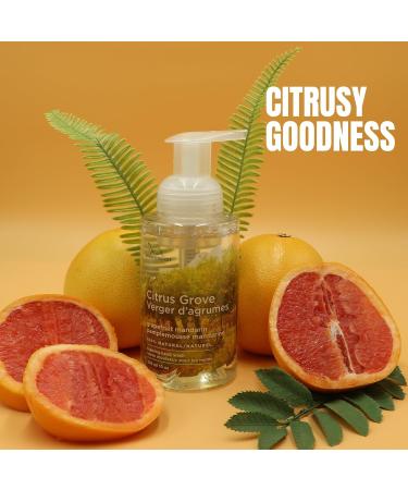 Green Cricket Foaming Hand Wash - 300ml 100% Natural & Vegan | Perfect for individuals with skin sensitivity | No SLS SLES PEG Parabens or Artificial fragrances or colours (Citrus) Citrus 300 ml (Pack of 9) - Buy Online on GoSupps.com