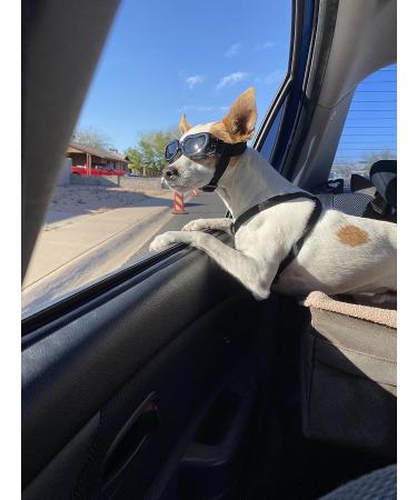 CocoPet Adorable Dog Goggles - UV Protection Waterproof Sunglasses for Small Medium Dogs - Pink - Buy Online on GoSupps.com