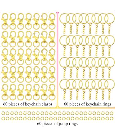 Selizo 120pcs Gold Keychain Hardware Set for Crafts - 60 Key Chain Hooks & 60 Rings for Keychains - Ideal for Acrylic Blanks and Resin Craft Projects - Buy Online on GoSupps.com