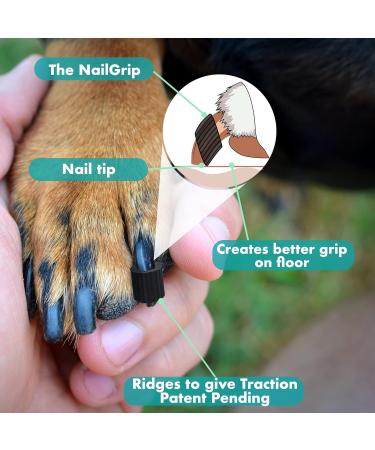 EIDEAL Pets | Nail-Grips for Dogs | Anti-slip Nail Covers for Dogs | Traction Grips for Dogs | Affordable Rubber Grips for Dogs for Hardwood Floors | Instant Relief for Dogs who Slip (XXL) | One pack (20 Grips) - Buy Online on GoSupps.com