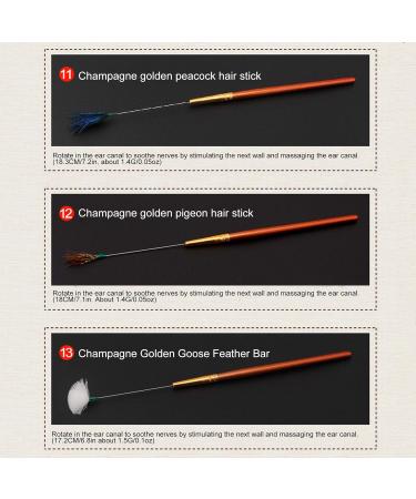 20pcs Less Steel Earwax t Ear Wax Tool Set Ear s with 20 Different ludes Luminous Earpick Ts  - Buy Online on GoSupps.com