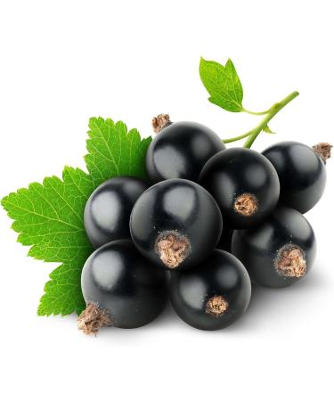 Natur ge Flexolia 90 Capsules - Buy Online on GoSupps.com