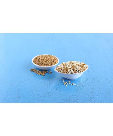 Organic Fenugreek Seeds 1.5 lbs - Non-GMO Raw Whole Methi - Kosher Vegan - Iron, Copper, Fiber - Bulk Pack of 1 - Buy Online on GoSupps.com