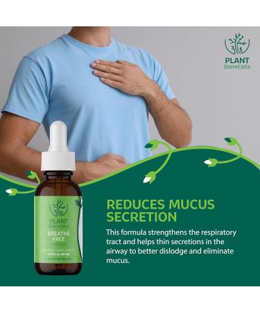 Plant Stem Cells Gemmotherapy Breathe Free | Embryonic Buds from Black Elderberry Black Poplar Horsetail & Hazel | Respiratory Support for Congestion Coughing & Mucus Reduction for Men & Women - Buy Online on GoSupps.com