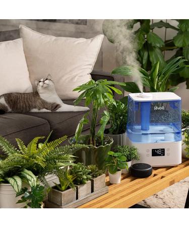 LEVOIT 6L Large Tank Top-Fill Cool Mist Humidifier for Bedroom with Smart App & Alexa Control - Essential Oil Diffuser - 60H Runtime - Blue - Buy Online on GoSupps.com