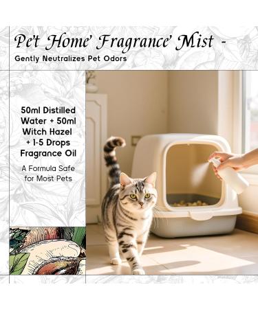 HIQILI 100ML Ylang-Ylang Essential Oil & 150ML New Challenge Fragrance Oil for DIY Diffuser - Buy Online on GoSupps.com