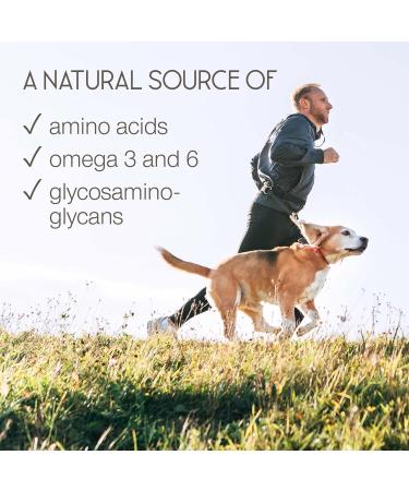 Green Lipped Mussel for Humans & Dogs - New Zealand Green Lipped Mussel Capsules 1000mg - High Strength Joint & Mobility Supplement with Omega 3-100% Pure Powder - 90 Tablets - Made in The UK - Buy Online on GoSupps.com