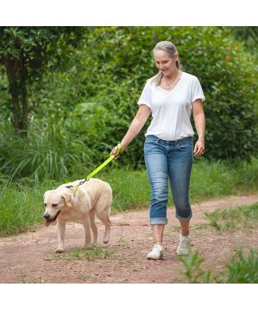 Vivaglory Short Dog Leash - 46 cm Neon Yellow Training Line for Medium & Large Dogs - Buy Online on GoSupps.com