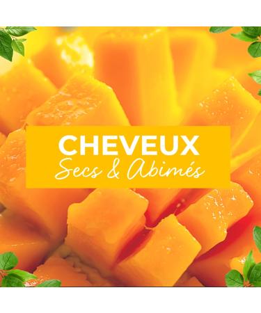 COTTAGE - Shot Nutrition Conditioner with vegetable Keratin and ORGANIC Mango Oil - 98% ingredients of natural origin - Dry and damaged hair - 100% recycled bottle - 250ml - Buy Online on GoSupps.com