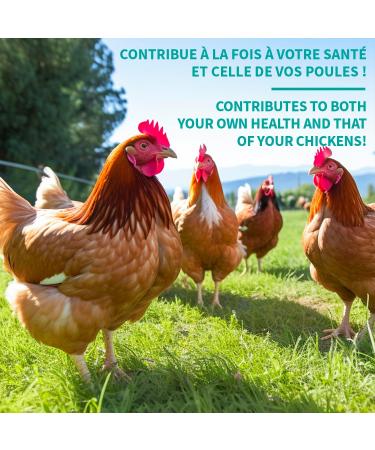 Camelina Seeds for Laying Hens by Olimega Farm | Poultry Supplement High in Omega-3 | for Overall Health | Maintains Healthy & Shiny Plumage | 1.5KG - Buy Online on GoSupps.com