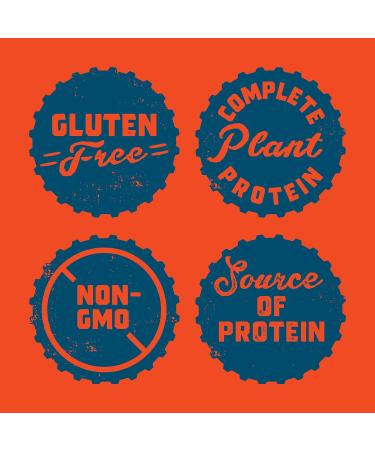 CLIF BUILDERS Protein Bars - Chocolate + Chocolate Mint | (68 Gram Non-GMO Bars 12 Count Each) Chocolate Mint Flavour + Bars - Chocolate - Buy Online on GoSupps.com