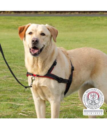 Buy TRIXIE LeadnWalk Soft Training Harness Black SM - Comfortable Pet Harness for Dogs - International Shipping Available - Buy Online on GoSupps.com