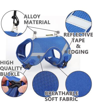 Cat Leash with Dishes - Reflective Patrols & Breakout Safety for Cats | International Shipping - Buy Online on GoSupps.com