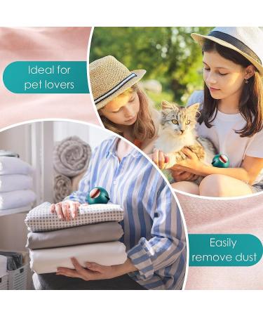 Sticky Lint Roller Ball Washable Reusable Lint Roller Ball Portable Hair Adhesive Hair Roller Hair Roller Home Travel Mini Dog Cat Pet Hair Remover Tool for Furniture Carpet Bed Sofa Green - Buy Online on GoSupps.com