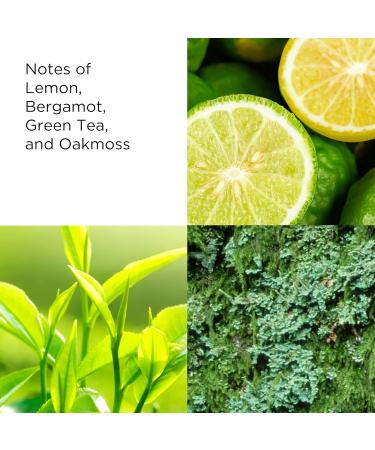 Elizabeth Arden Green Tea Scent Spray Eau de Toilette Women's Perfume with Notes of Bergamot Tea and Oakmoss Fresh & Floral Green Tea 1.7 Fl Oz (Pack of 1) - Buy Online on GoSupps.com