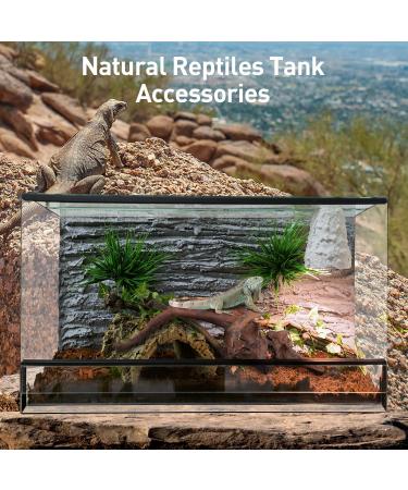 Natural Driftwood Aquarium Decor - Assorted Branches for Reptile/Fish Tank (2 Pack, 9-14 inch) - Buy Online on GoSupps.com