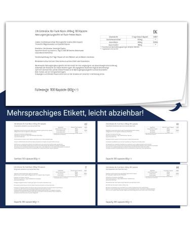 Life Extension No-Flush Niacin 100 Capsules | High Dose Vitamin B3 | Gluten-Free Soy-Free Non-GMO | Laboratory Tested - Buy Online on GoSupps.com