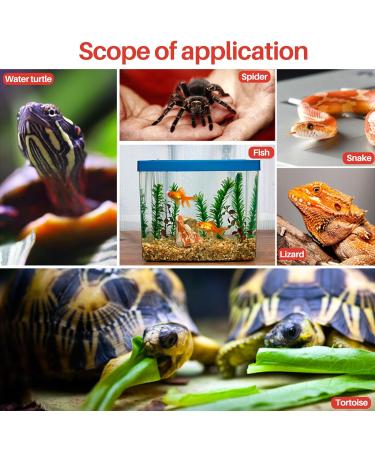 Reptile Heat Pad 6W Under Tank Terrarium Warmer Heating Mat and Digital Thermostat Controller for Turtles Lizards Frogs and Other Small Animals Multi Sizes - Buy Online on GoSupps.com
