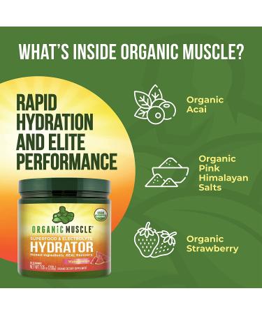 Organic Keto Electrolyte Hydrator | USDA Certified Vegan Powder for Rehydration & Recovery | 20 Servings - Buy Online on GoSupps.com