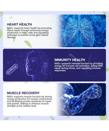 SHAPEINGIRL NAD Supplement - Nicotinamide Riboside Resveratrol 900mg Liposomal NAD Supplement for Women and Men NAD Plus Pure Organic - Buy Online on GoSupps.com