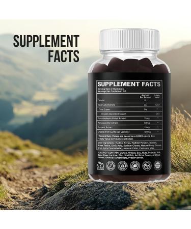 RockSten Premium Himalayan Shilajit Gummies for Men Women - Shilajit Complex Chew Gummy Supplement 1500mg with Ashwagandha Turmeric - Natural Vegan No Sugar Non-GMO - Buy Online on GoSupps.com