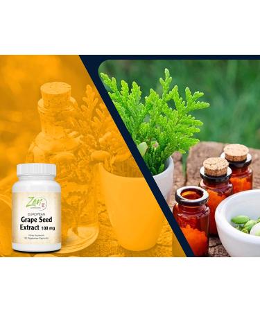 Grape Seed Extract 100mg Strength - European Grape Seed Extract Standardized to 80% OPC for Powerful Antioxidant & Inflammation Support - Best Grape Seed Extract -Non-GMO & Gluten Free 90-Vegcaps - Buy Online on GoSupps.com