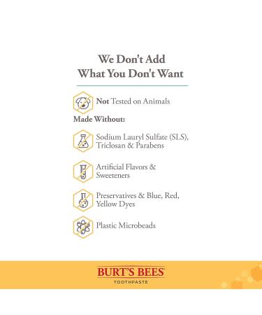 Burt s Bees Charcoal Toothpaste with Fluoride - Peppermint Flavor 4.7 oz | International Shipping Available - Buy Online on GoSupps.com