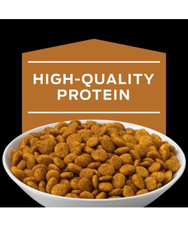 Purina Pro Plan Veterinary Diets NF Kidney Function Early Care Feline Formula Adult Dry Cat Food - 8 lb Bag - Buy Online on GoSupps.com