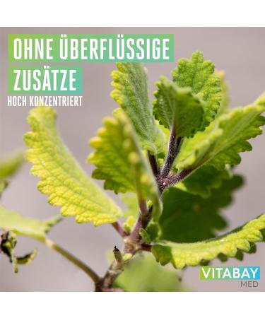 Vitabay Frankincense 400 mg Vegan Capsules - High-Dose Boswellia Serrata - 360 Count Incense Tablets for Maximum Concentration - Buy Online on GoSupps.com