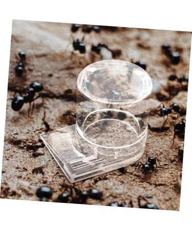 HANABASS Pet Water Feeder Ant Nest Entrance Feeder Ant Waterer for Garden Ant Watering Cup Ant Water Drinking Cup Ant Water Feeder Ant Feeder Station Ants Feeding Device Ant Bowl - Buy Online on GoSupps.com