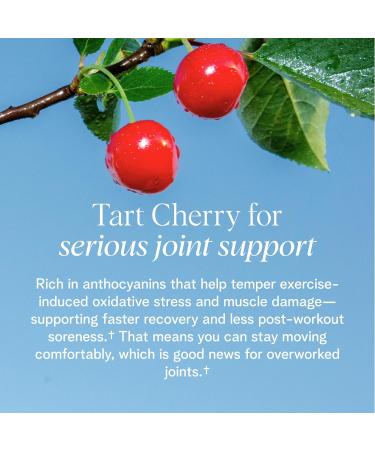 Ora Vegan Protein Powder for Lifelong Strength - 23g Per Serv - Plus Tart Cherry for Joint Health & ProHydrolase for Protein Absorption - Organic Gluten-Free - Vanilla Flavor 20 Servings - Buy Online on GoSupps.com