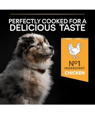 PRO PLAN Medium Puppy Dry Dog Food Healthy Start Rich in Chicken 3kg Medium Puppy 3 kg (Pack of 1) - Buy Online on GoSupps.com