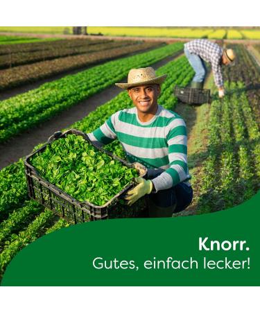 Buy Knorr Salad Dressing Dill Herbs - 15 Natural Portions for Delicious Salads | International Shipping - Buy Online on GoSupps.com